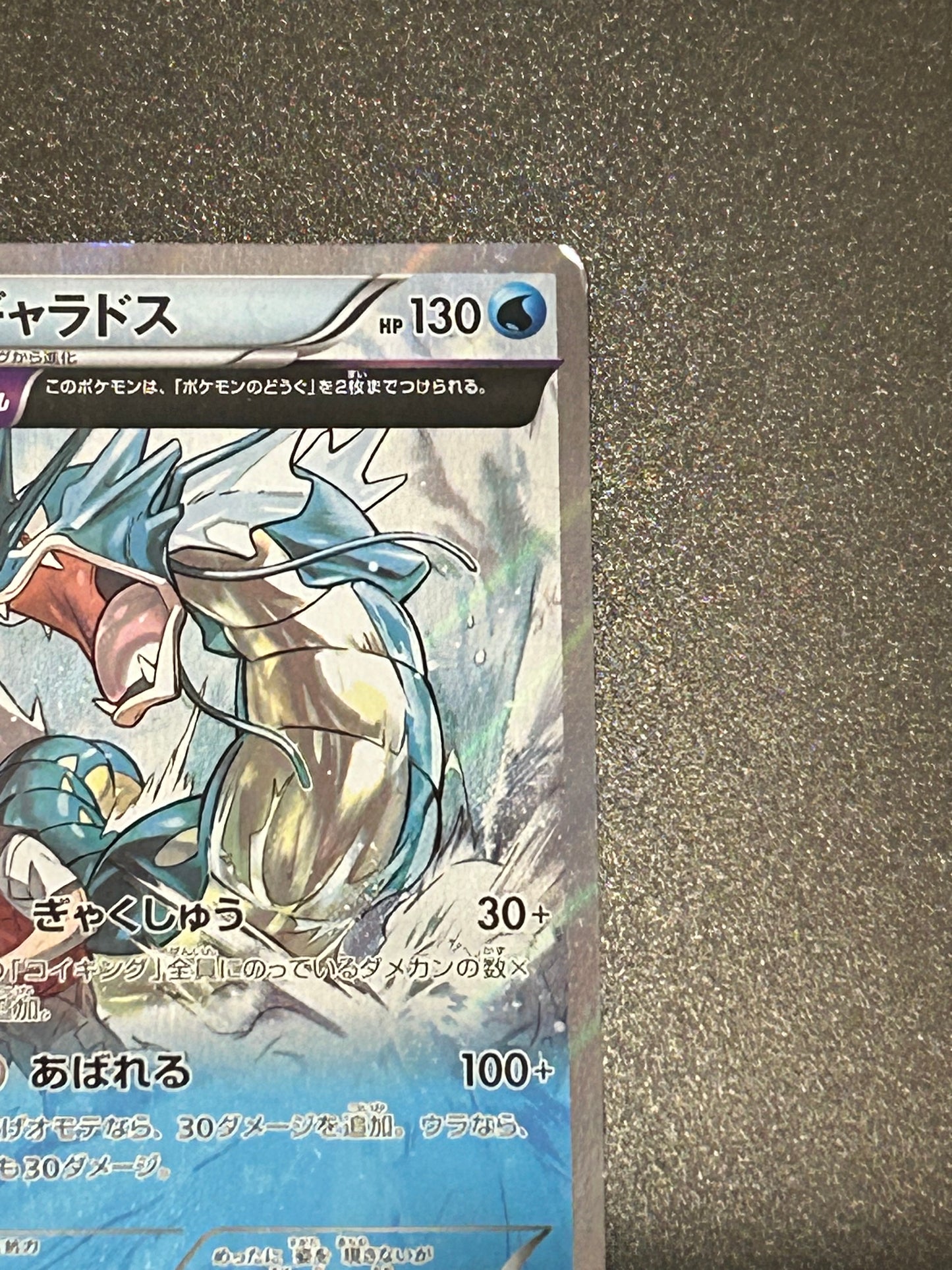 Gyarados 021/081 R XY7 Holo 1ED Bandit Ring 2015 Pokemon Card Japanese