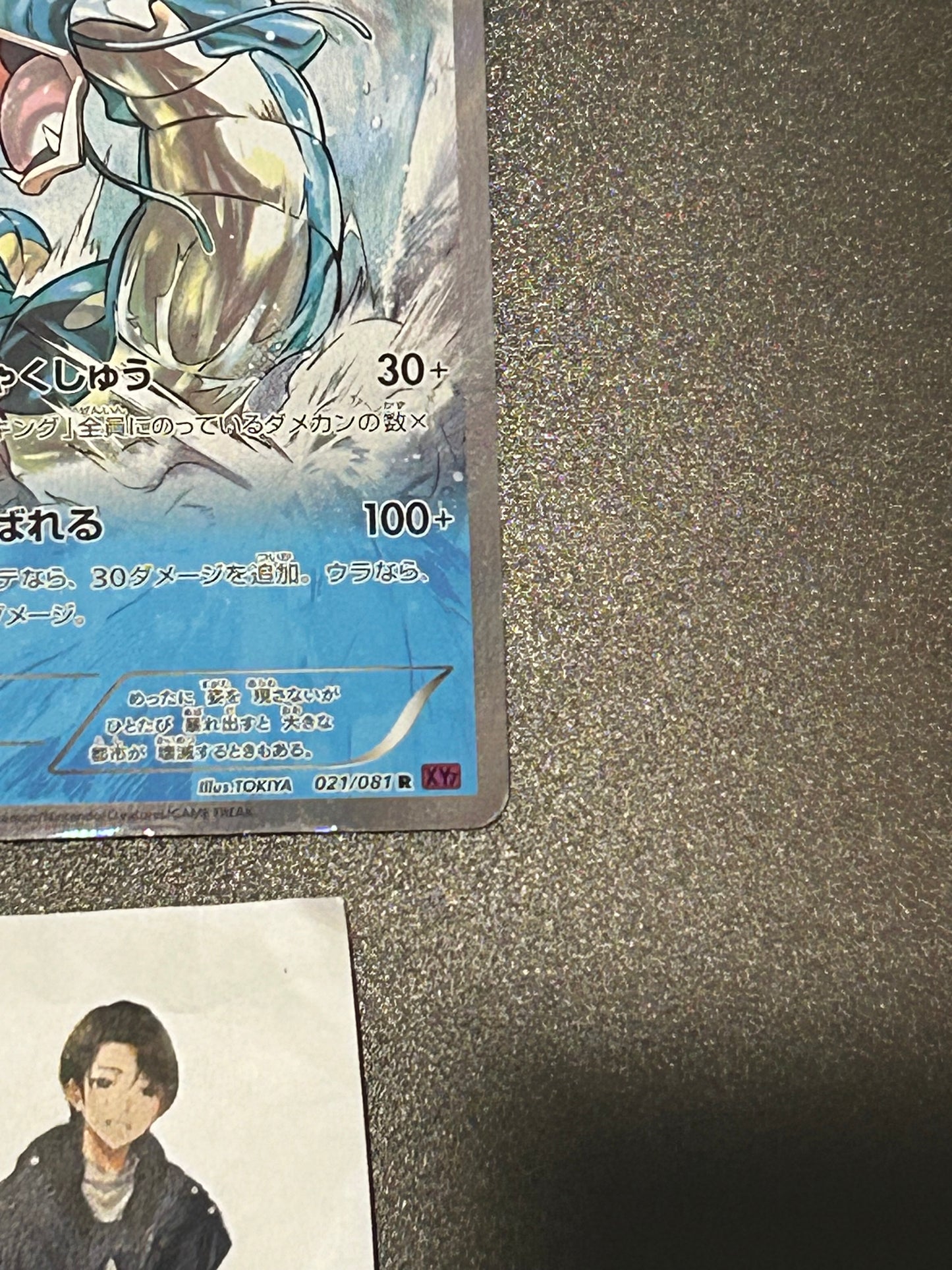 Gyarados 021/081 R XY7 Holo 1ED Bandit Ring 2015 Pokemon Card Japanese